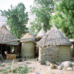 Kameruni házak