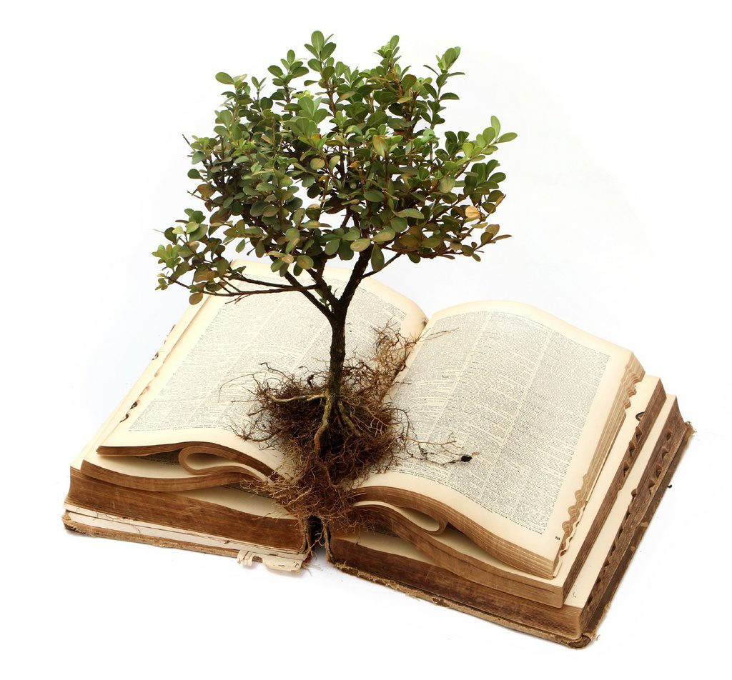 Bibliai növények